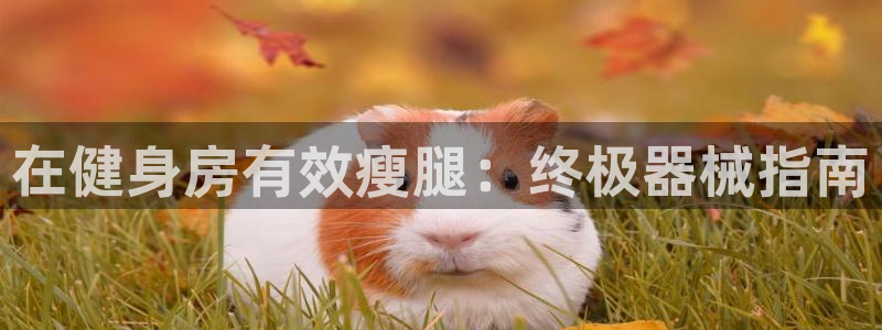 尊龙官方app下载