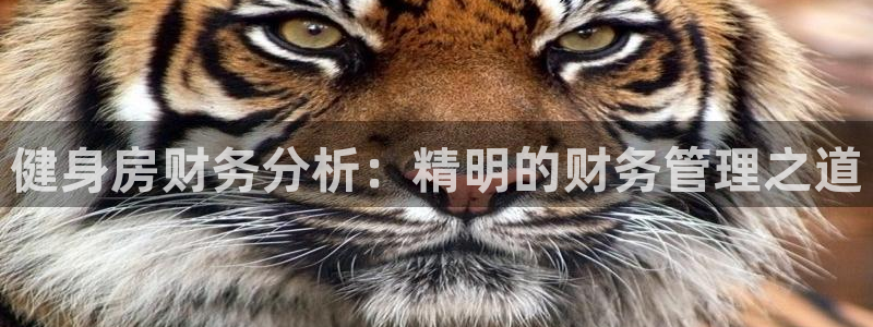 尊龙新版官网网页版